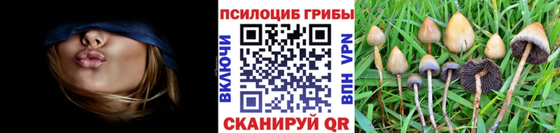 Галлюциногенные грибы Magic Shrooms  где купить наркотик  Кореновск 